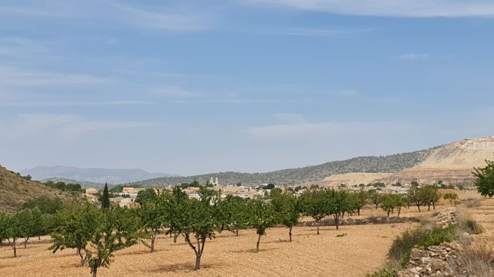 Image No.7-Terre à vendre à Algueña