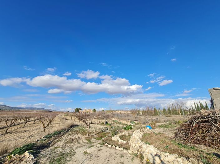 Image No.20-Maison de campagne de 4 chambres à vendre à Pinoso