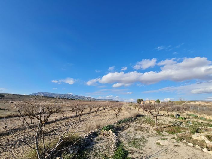 Image No.23-Maison de campagne de 4 chambres à vendre à Pinoso
