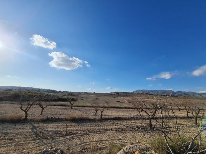 Image No.24-Maison de campagne de 4 chambres à vendre à Pinoso