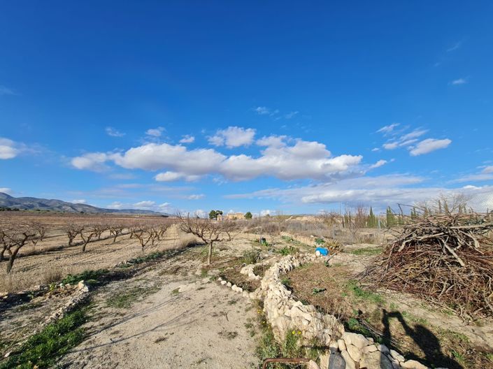 Image No.27-Maison de campagne de 4 chambres à vendre à Pinoso