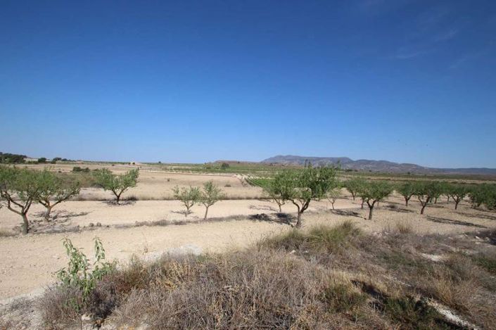 Image No.32-Maison de campagne de 4 chambres à vendre à Pinoso