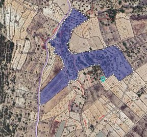 1 - Monóvar, Terreno