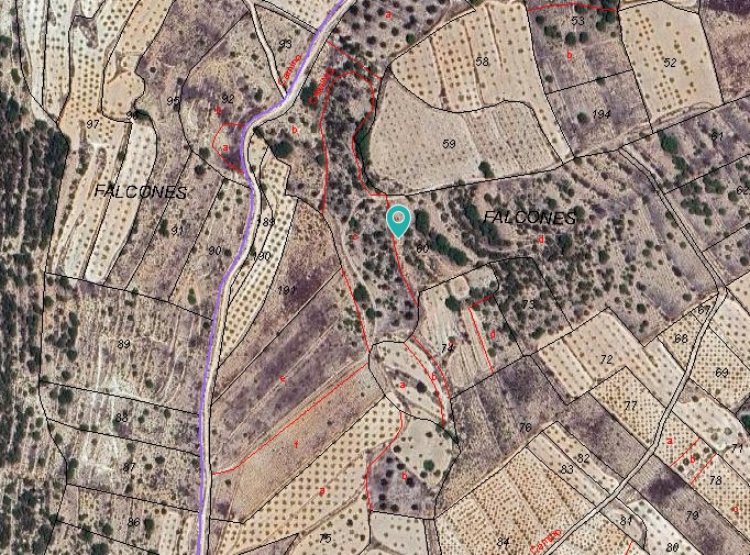 Image No.2-Terre à vendre à Monóvar