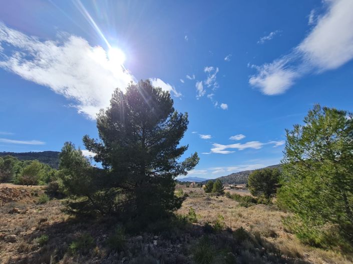 Image No.11-Land for sale