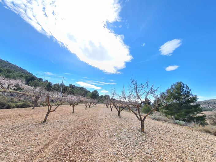 Image No.13-Land for sale