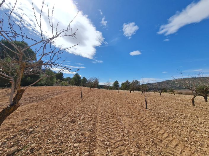 Image No.14-Land for sale