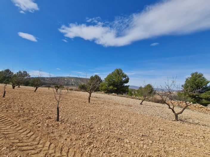 Image No.15-Land for sale