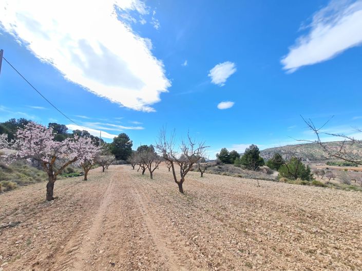 Image No.16-Land for sale