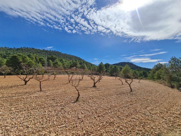 Image No.17-Land for sale