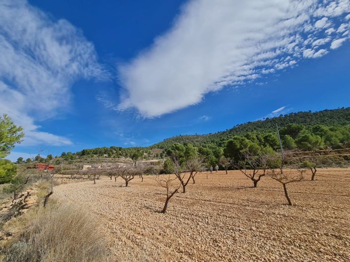 Image No.18-Land for sale