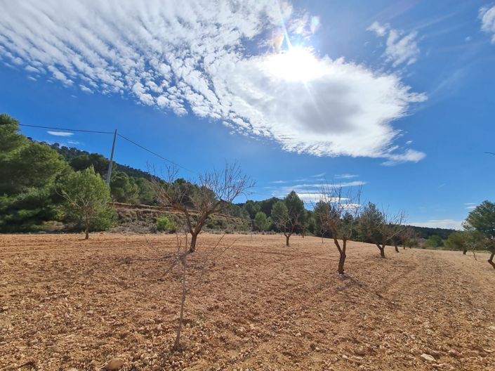Image No.19-Land for sale