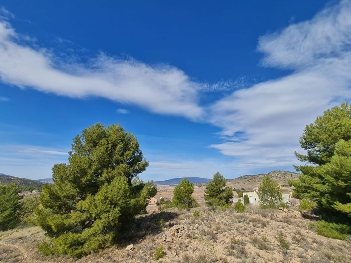 Image No.6-Terreno en venta