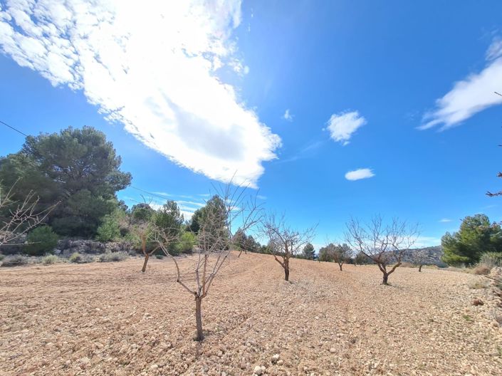 Image No.7-Terreno en venta