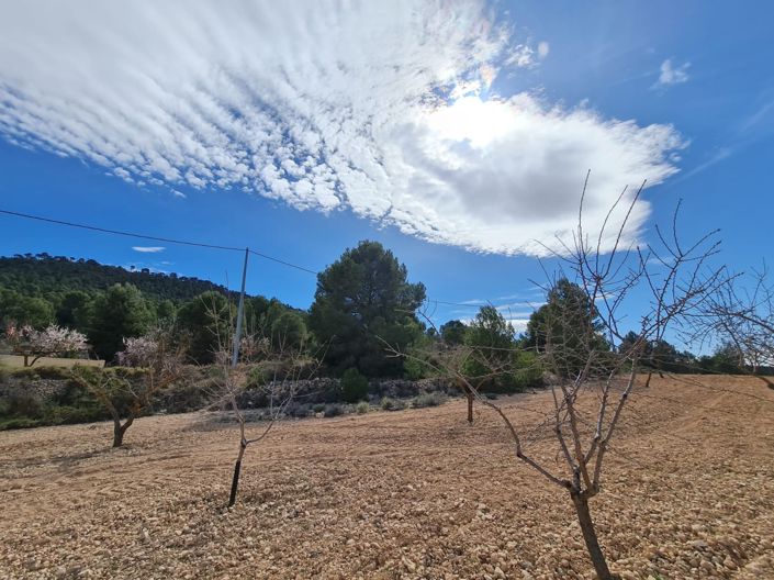 Image No.8-Land for sale