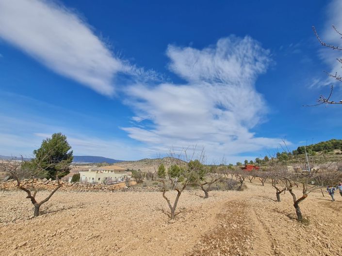 Image No.9-Land for sale