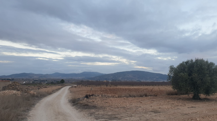 Image No.2-Terre à vendre à Pinoso