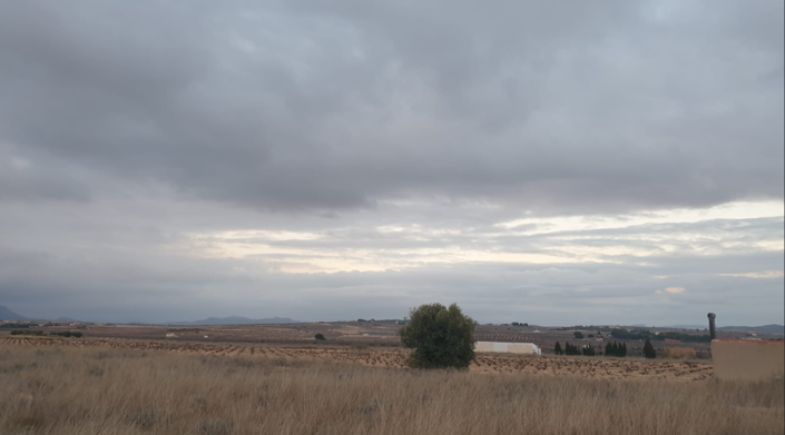 Image No.5-Terre à vendre à Pinoso