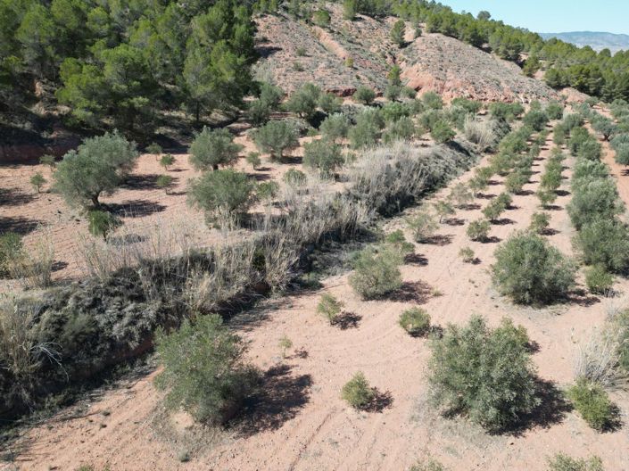 Image No.2-Terreno en venta