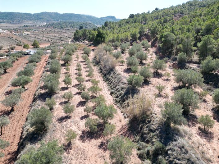 Image No.3-Terreno en venta