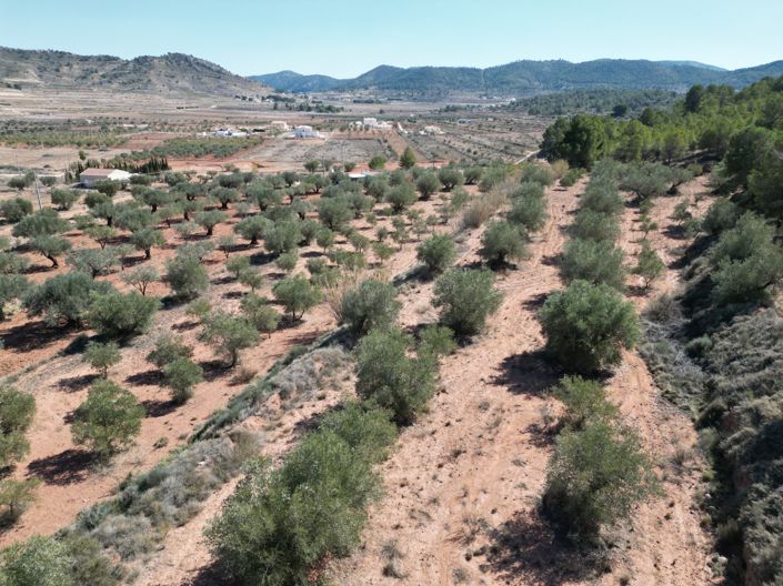 Image No.4-Land for sale