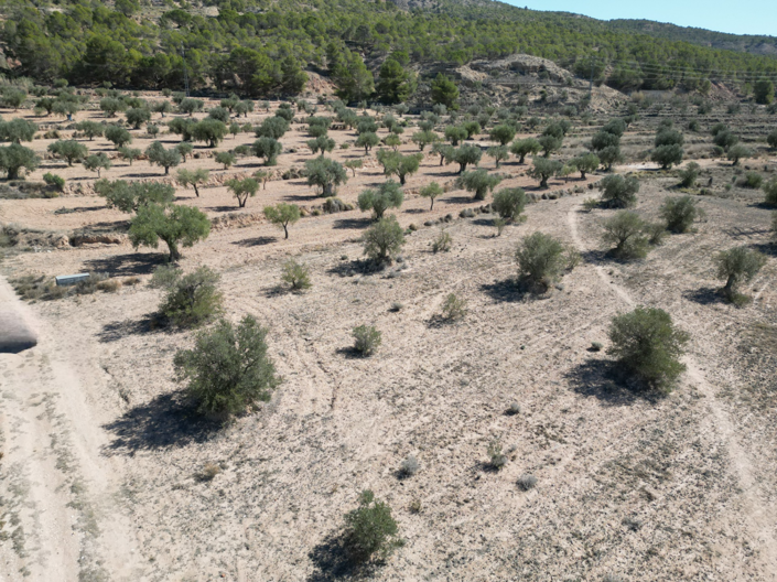 Image No.3-Land for sale