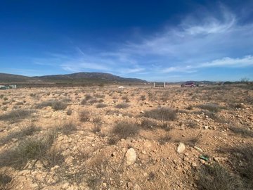1 - Pinoso, Land