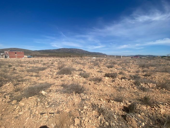 Image No.10-Terre à vendre à Pinoso