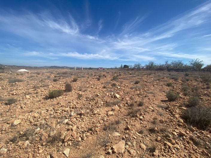 Image No.11-Terre à vendre à Pinoso