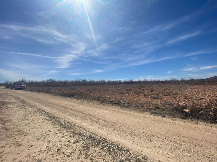 Image No.2-Terre à vendre à Pinoso