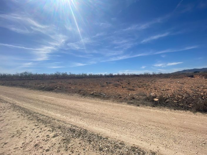 Image No.3-Terre à vendre à Pinoso