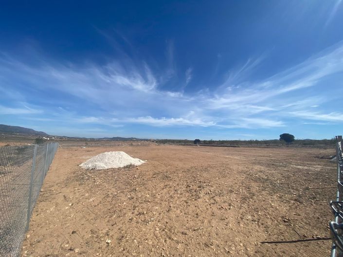 Image No.4-Terre à vendre à Pinoso