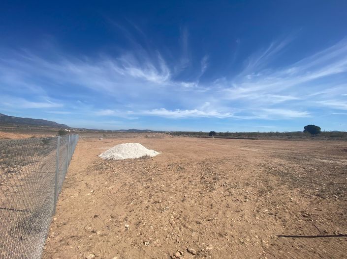 Image No.5-Terre à vendre à Pinoso