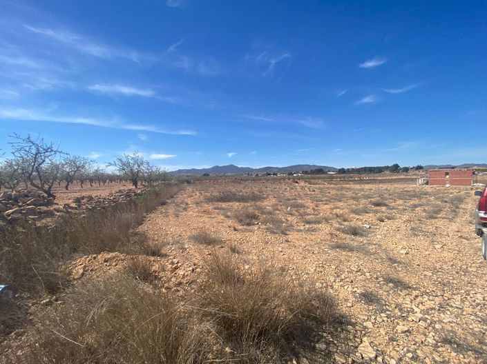 Image No.8-Terre à vendre à Pinoso