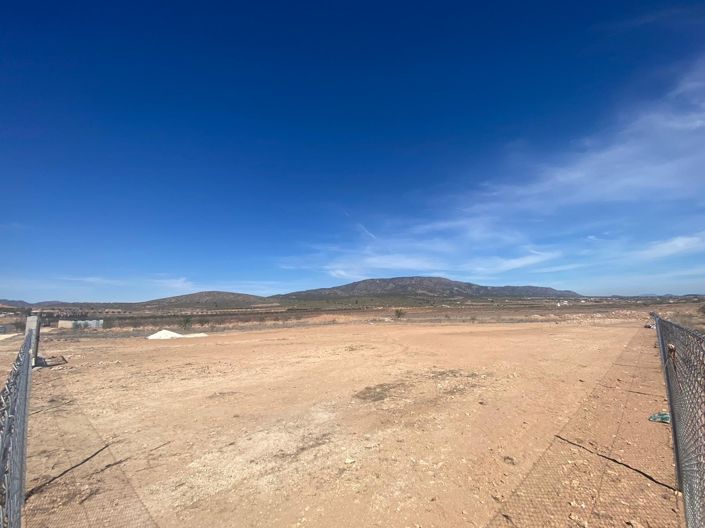 Image No.9-Terre à vendre à Pinoso