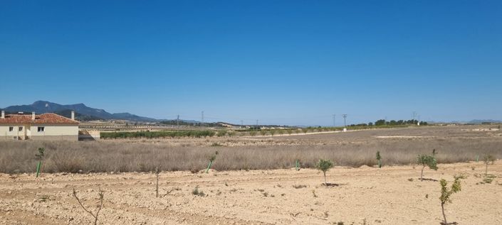 Image No.7-Land for sale