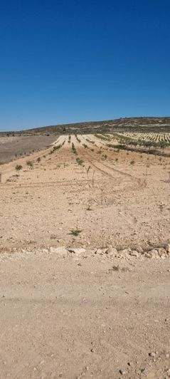 Image No.8-Land for sale