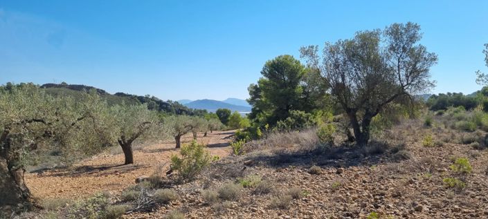 Image No.4-Land for sale