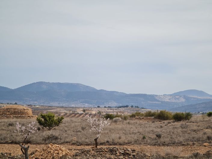 Image No.18-3 Bed Villa for sale