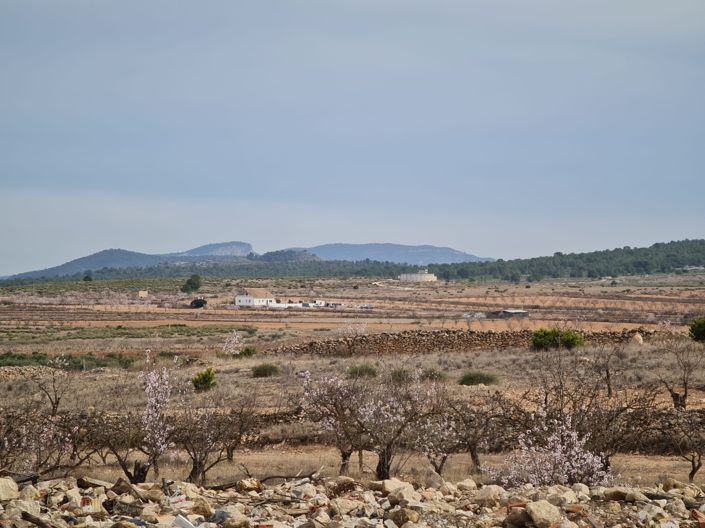 Image No.19-3 Bed Villa for sale