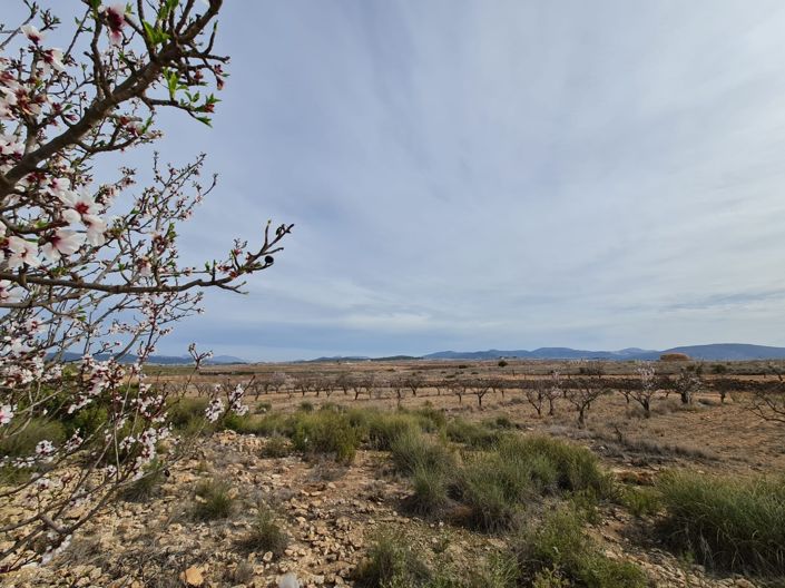 Image No.20-3 Bed Villa for sale