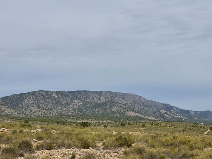 Image No.22-3 Bed Villa for sale