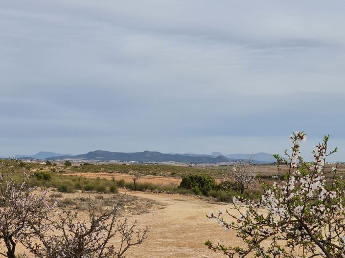 Image No.23-3 Bed Villa for sale