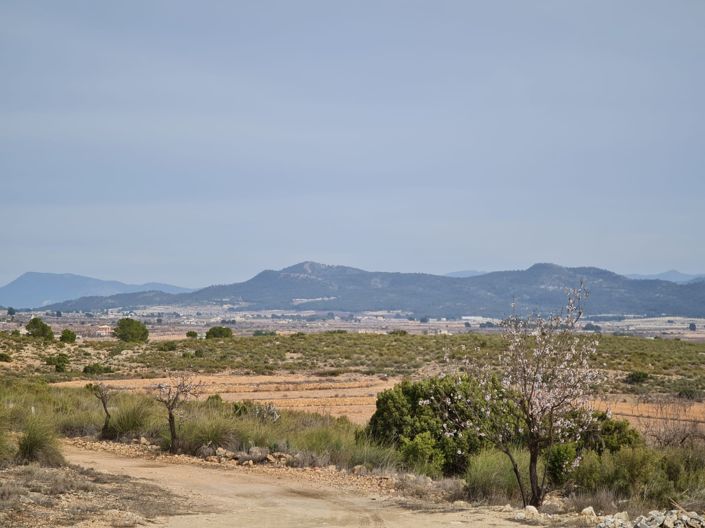 Image No.24-3 Bed Villa for sale