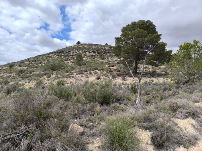 Image No.2-Land for sale