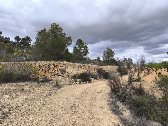 Image No.3-Land for sale