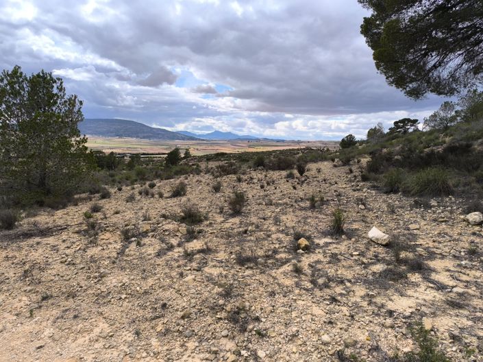 Image No.4-Land for sale