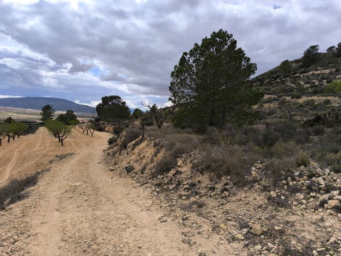 Image No.5-Land for sale