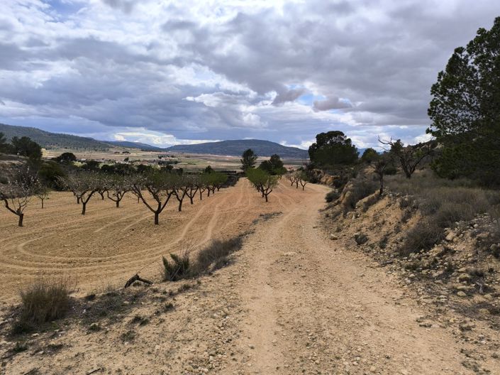 Image No.6-Land for sale