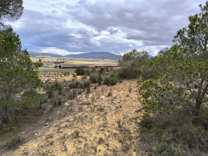 Image No.7-Land for sale